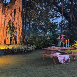 Dream Stays 6BHK Villa in Calangute
