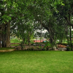 Dream Stays 6BHK Villa in Calangute
