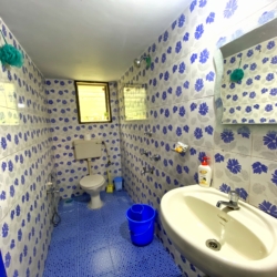 1bhk apartment arpora