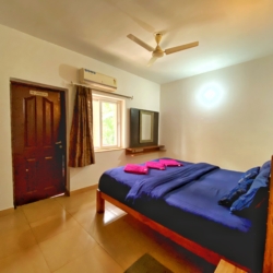 1bhk apartment arpora