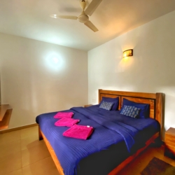 1bhk apartment arpora