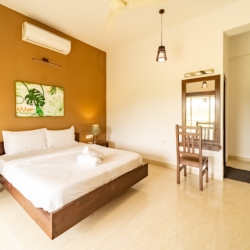 5bhk villa in Candolim