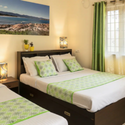 Dream Stays 3BHK Villa in Verla Canca