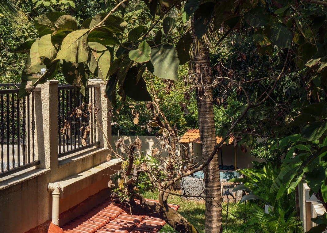 4BHK villa in Ashvem