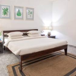 4bhk villa in arpora